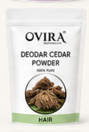 Deodar Cedar