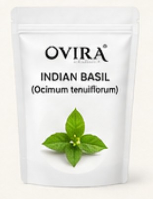 Indian Basil(Ocimum tenuiflorum)