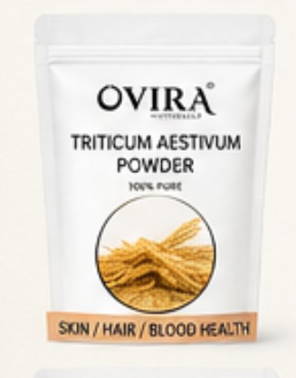 Triticum Aestivum