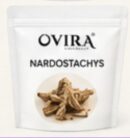 Nardostachys